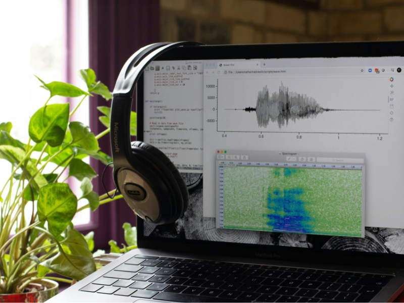 A laptop displays audio analysis software showing a waveform and a spectrogram, with a pair of headphones resting over the screen and a plant placed beside the computer.